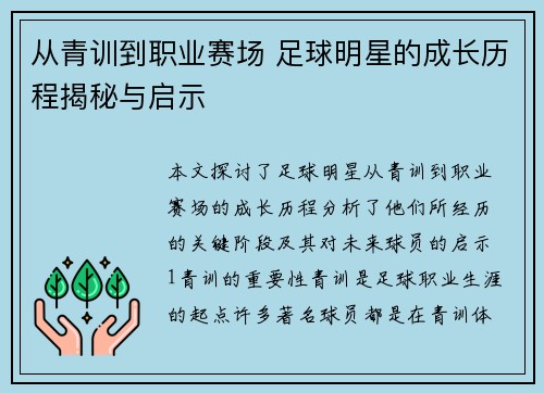 从青训到职业赛场 足球明星的成长历程揭秘与启示